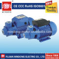 (CE ISO9001) QB80 1hp water pump motor